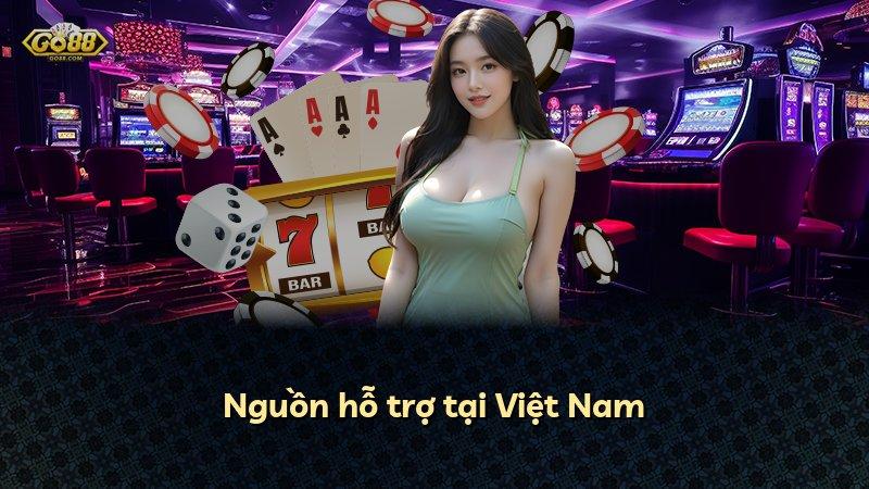 Nguồn hỗ trợ tại Việt Nam